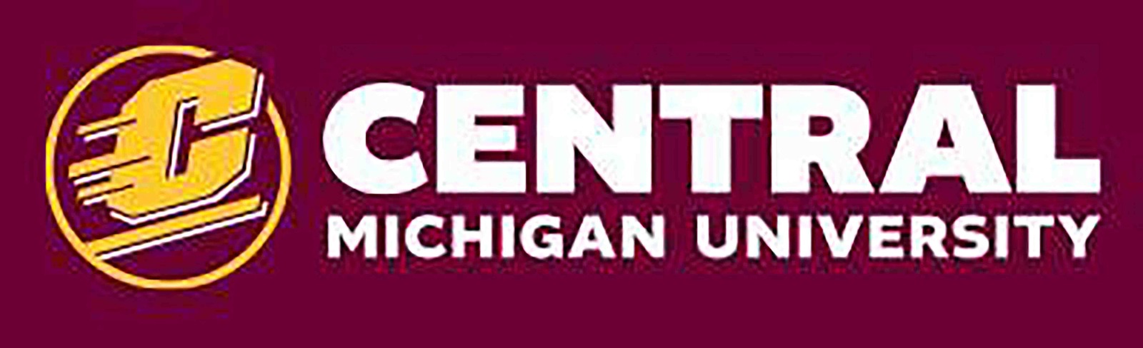Logo 4